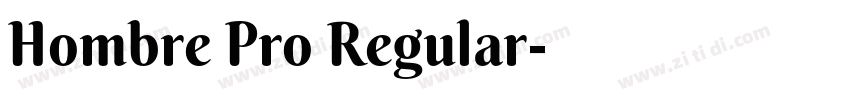Hombre Pro Regular字体转换